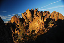 Pinnacles National Monument