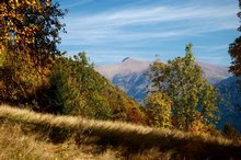 Rodnei rosu, galben si albastru