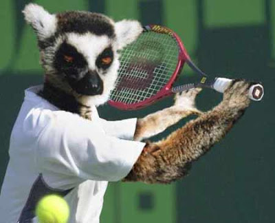 Crazy Sports: Crazy Funny Animal Olympics