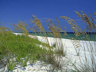 Perdido Key Florida Beach
