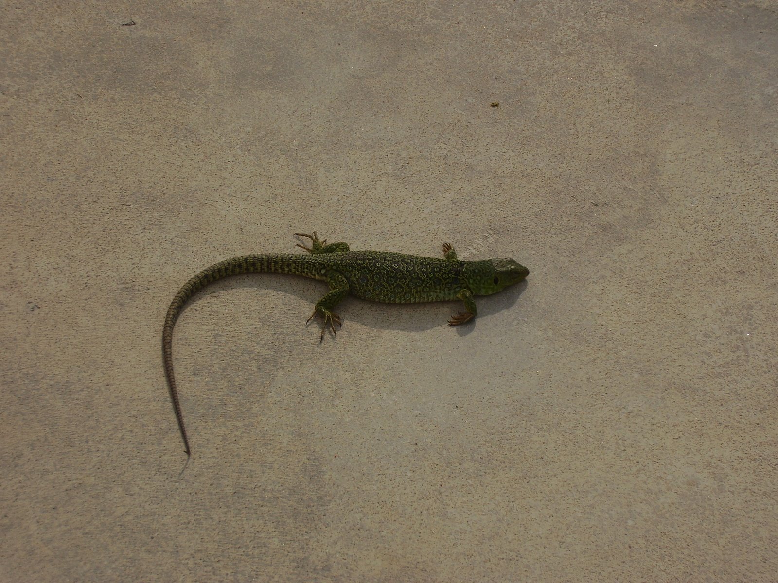 [09062008.JPG]