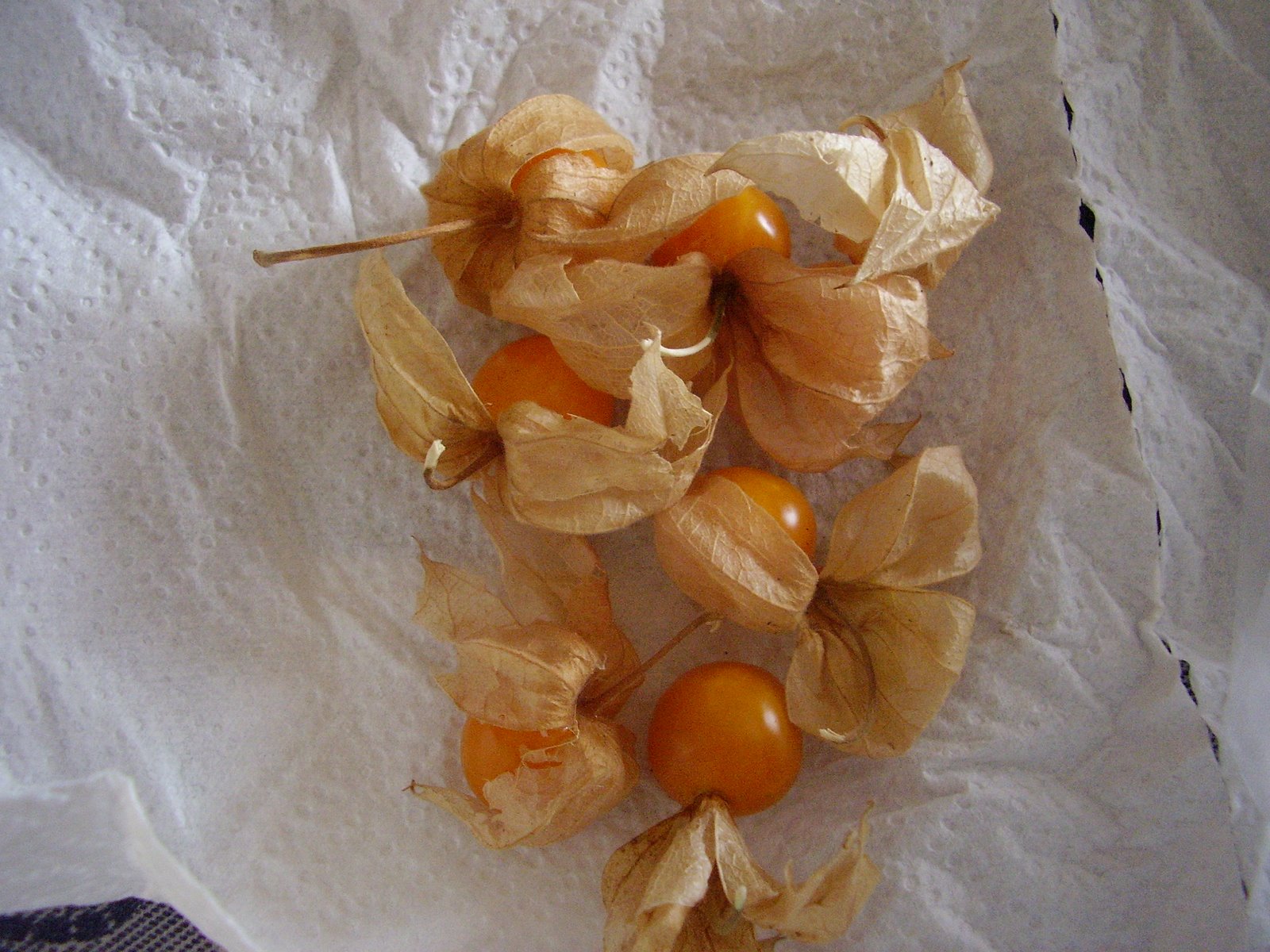 [P8250383.JPG]