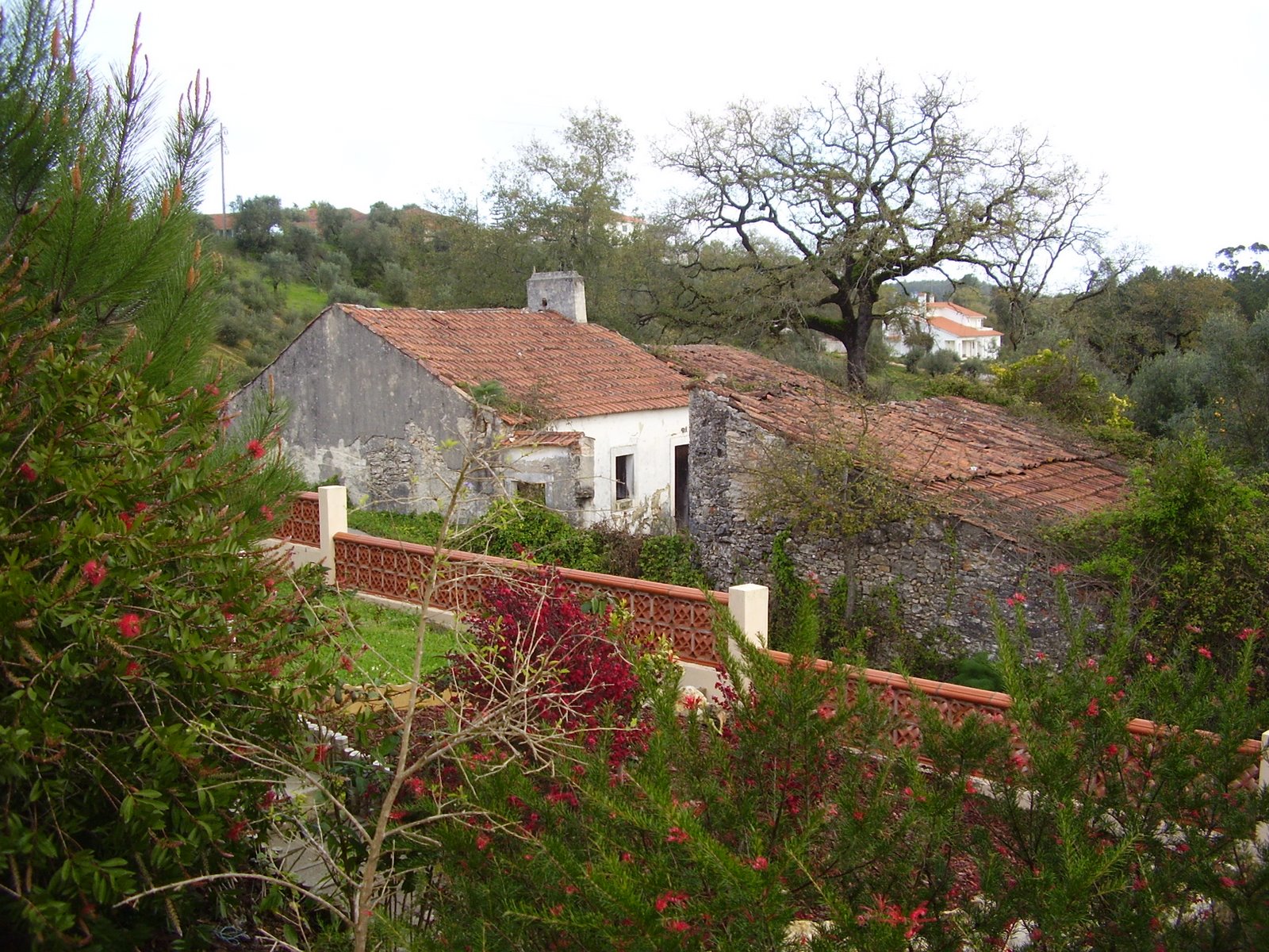 [P3250339.JPG]