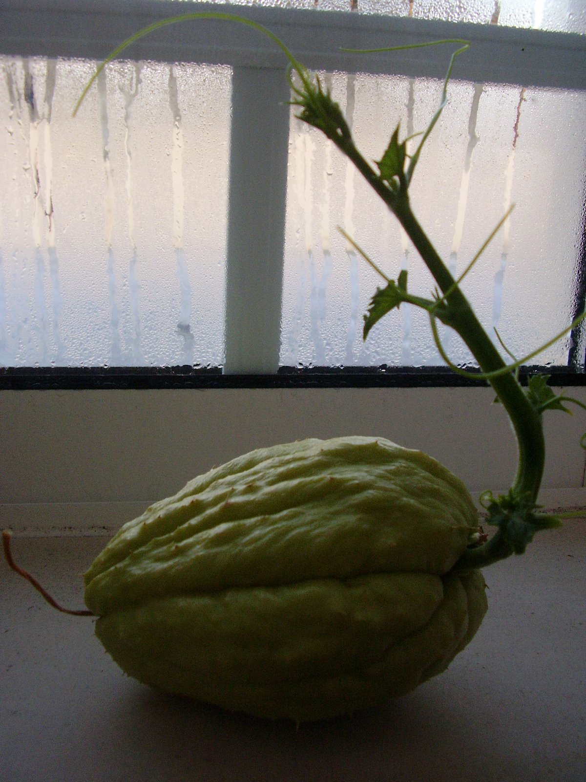 [PC100580.JPG]