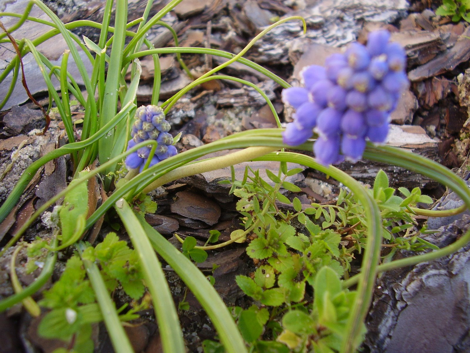 [P2210135.JPG]