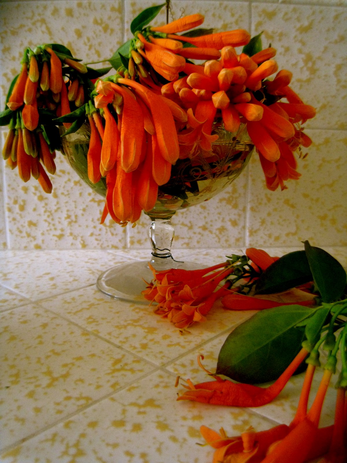 [IMG_1236.JPG]
