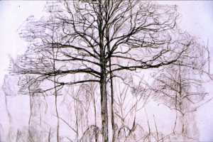 [Mondrian_Study_of_trees.jpg]