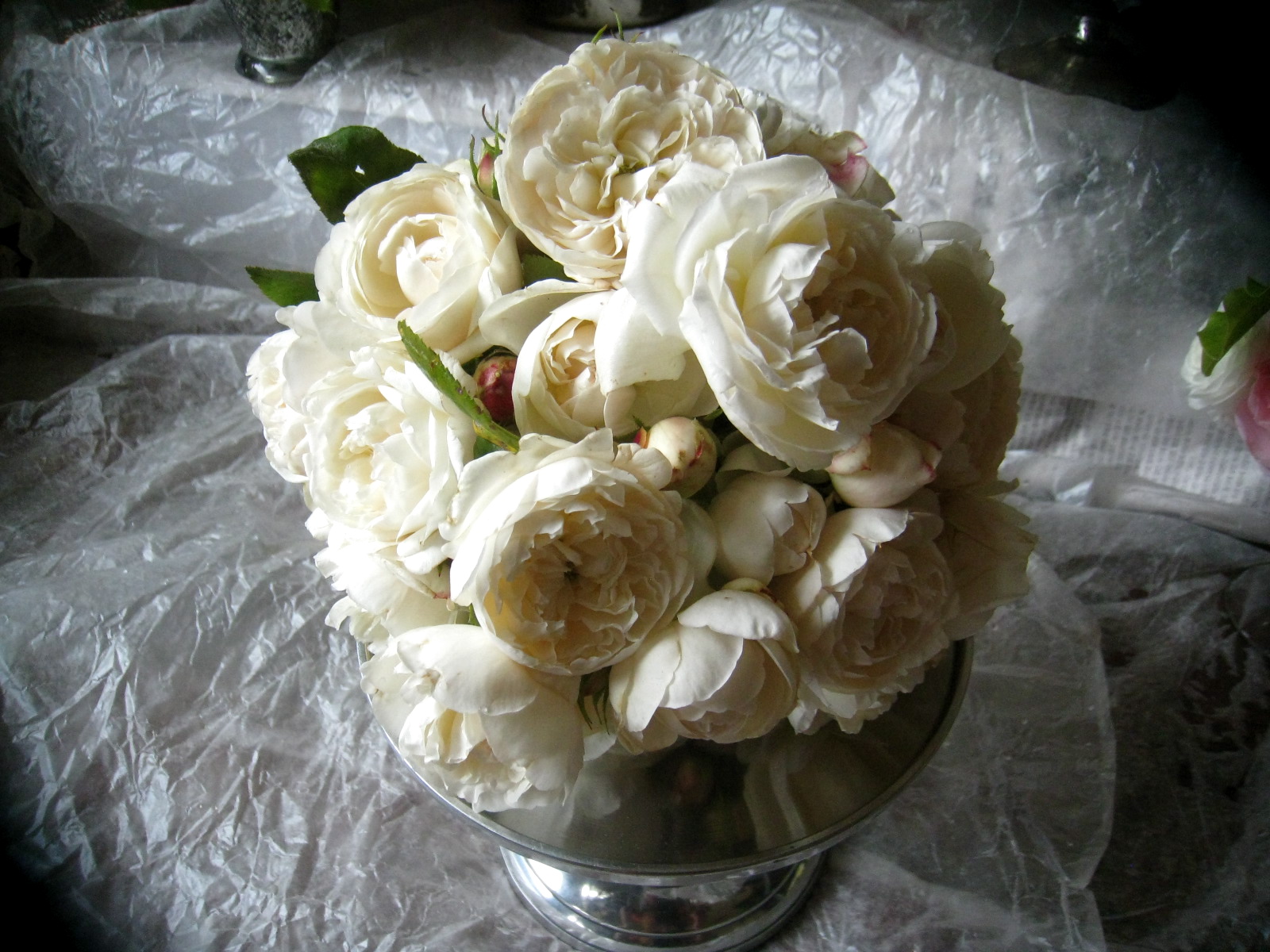 [IMG_4149.JPG]