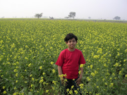 Princess - Ankita  My Daughter in Mustard field