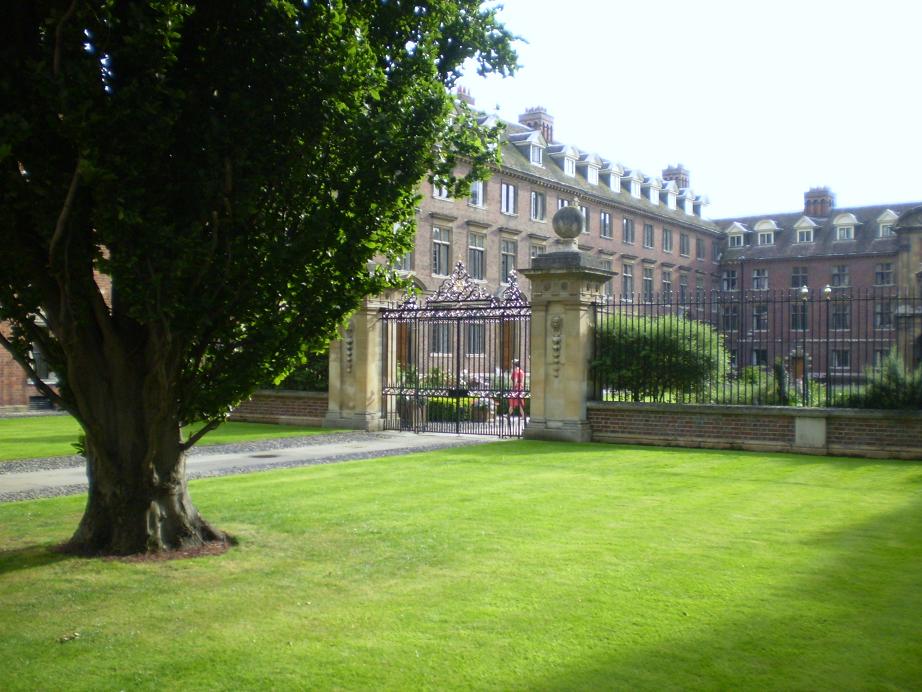 [stCat+Front+Lawn.jpg]