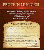 proteinmucizesi.com