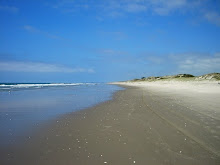 Papamoa Beach