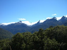 Milford Road lookout
