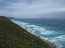 Albany Coastline