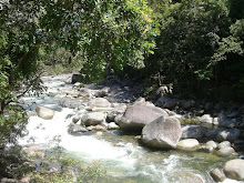 Mossman Gorge