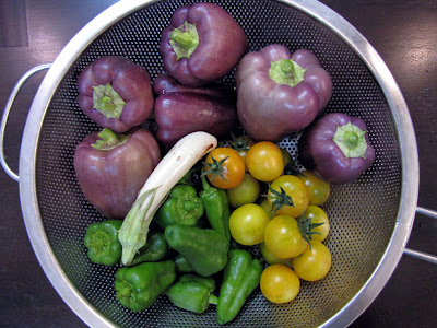 Rooftop Garden Vegetable Harvest