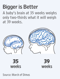 Diet to cure brain fog image 5