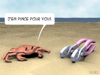 crabe_outil_pince.jpg