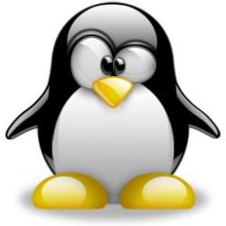 [linux.jpg]