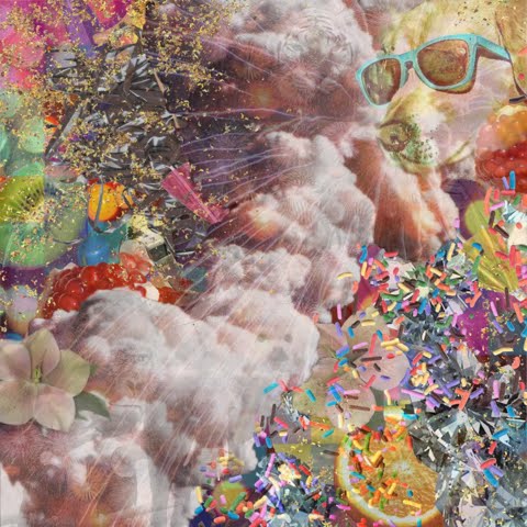 trip drugs
