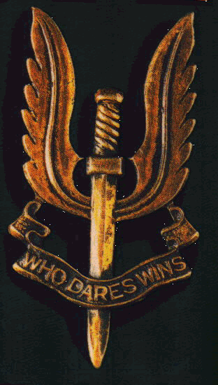 [sas-logo.gif]