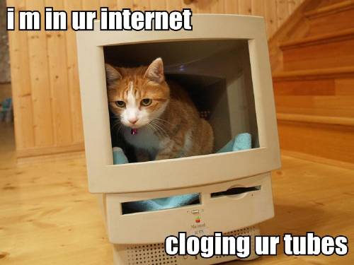 [i-m-in-ur-internet-cloging-ur-tubes.jpg]