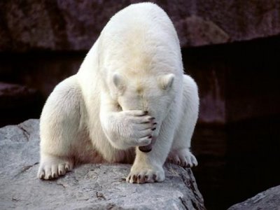 [PolarBearFacePaw.jpg]
