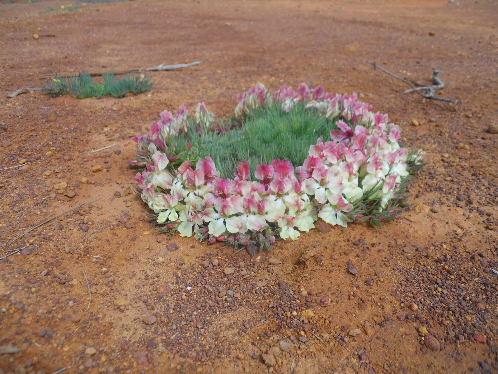 Flower Reef