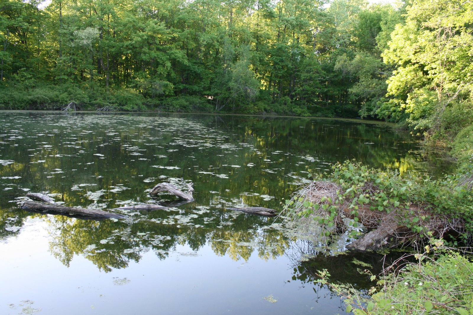 [IMG_2795[1]]