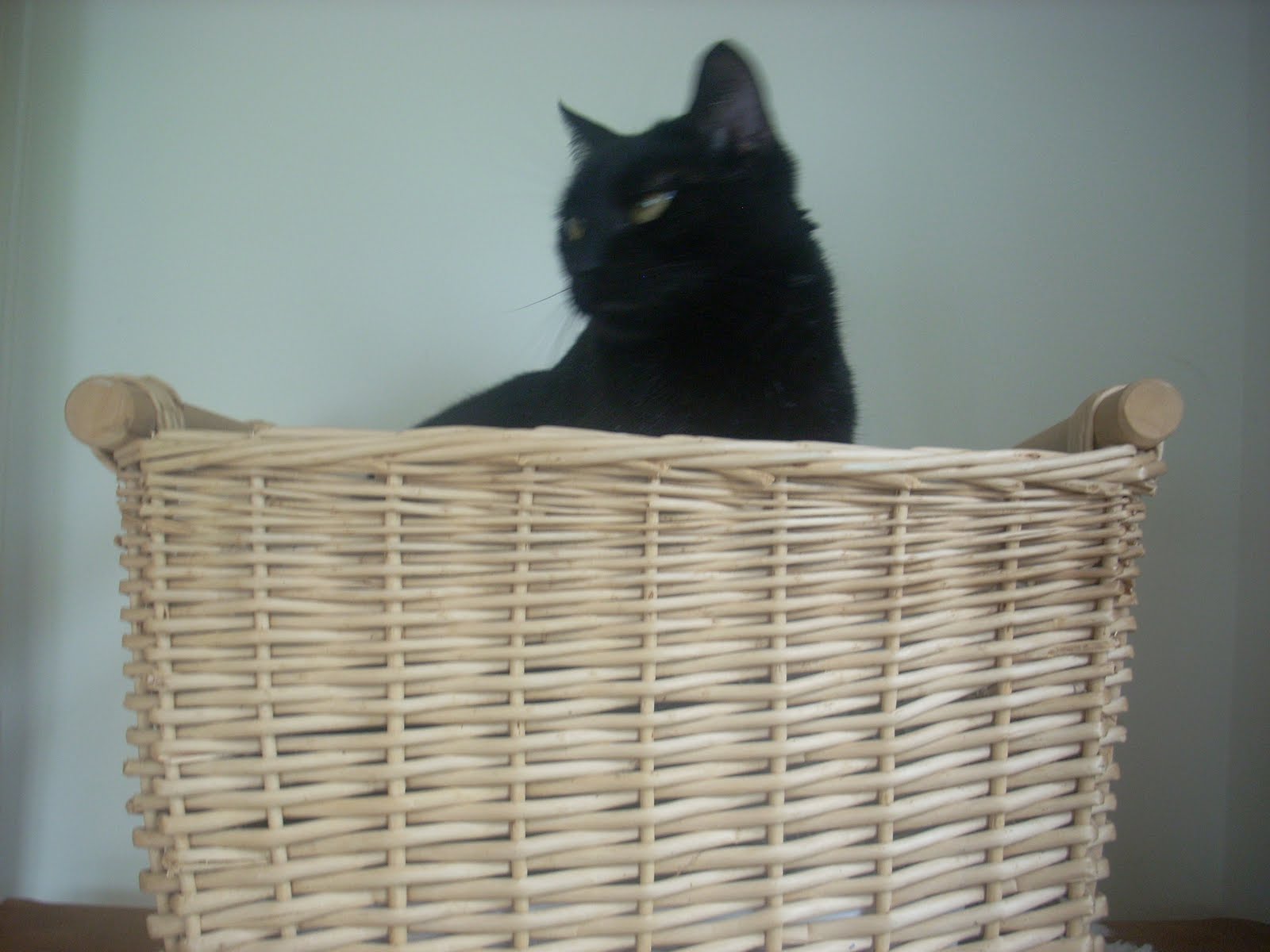 [PicturesHalloween+011.JPG]