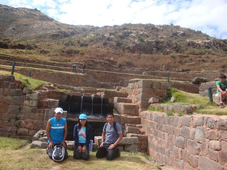 FUENTE PRINCIPAL - TIPON