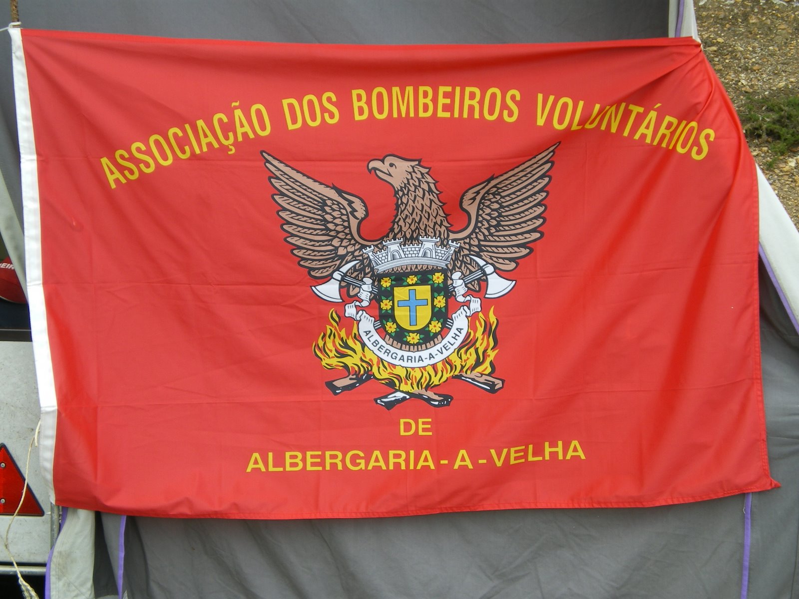 [IMGP0348.JPG]