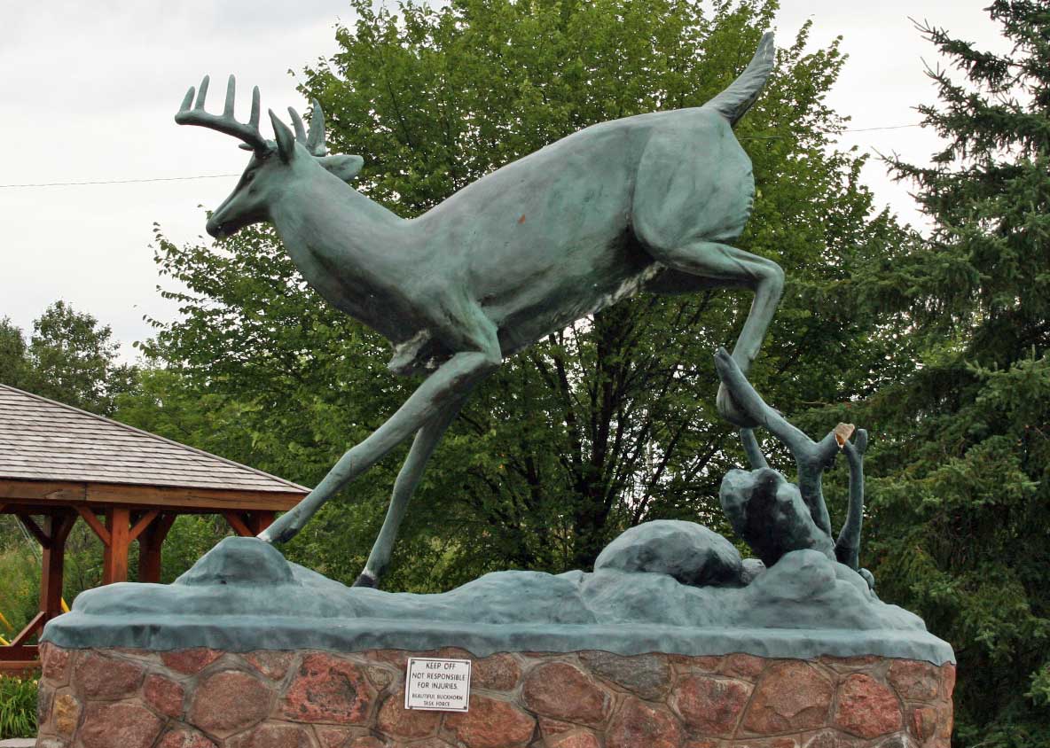 Buckhorn Ontario