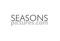 Seasons Pictures