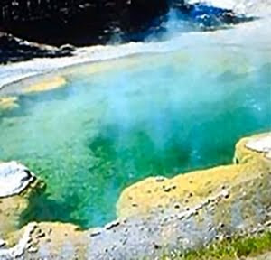 Hot Springs Bacteria
