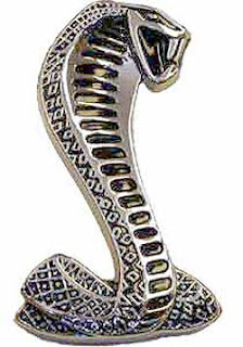 cobra insurance wiki cobra insurance wiki