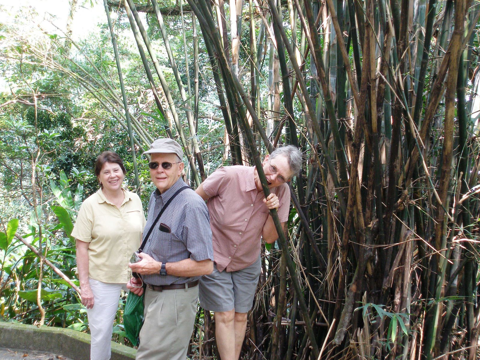 [Hike+-+Old+Peak+Road+003.jpg]