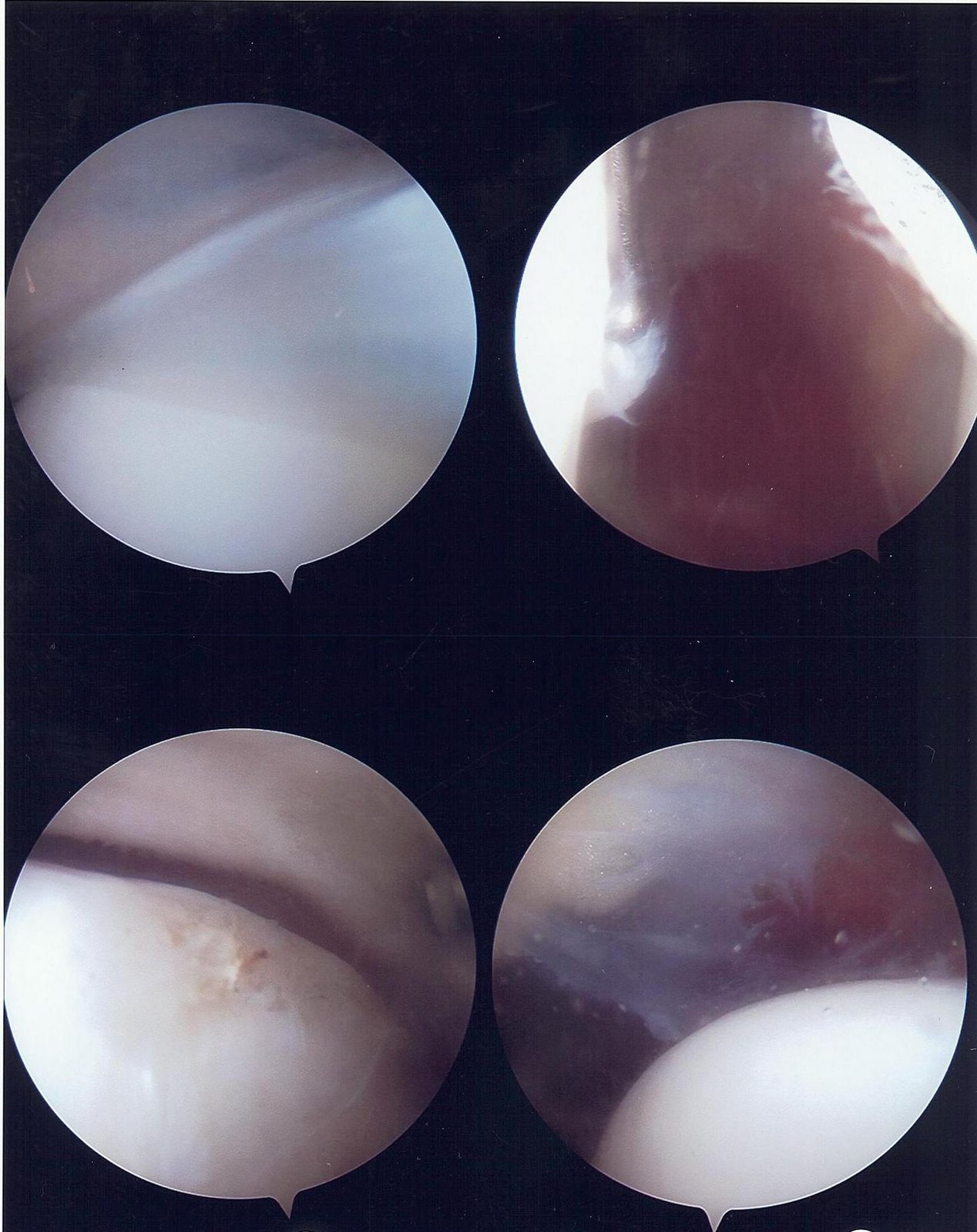 [scan0408.jpg]