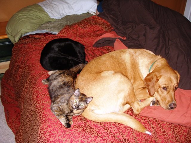[DSC00722.JPG]