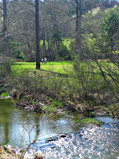 stony creek