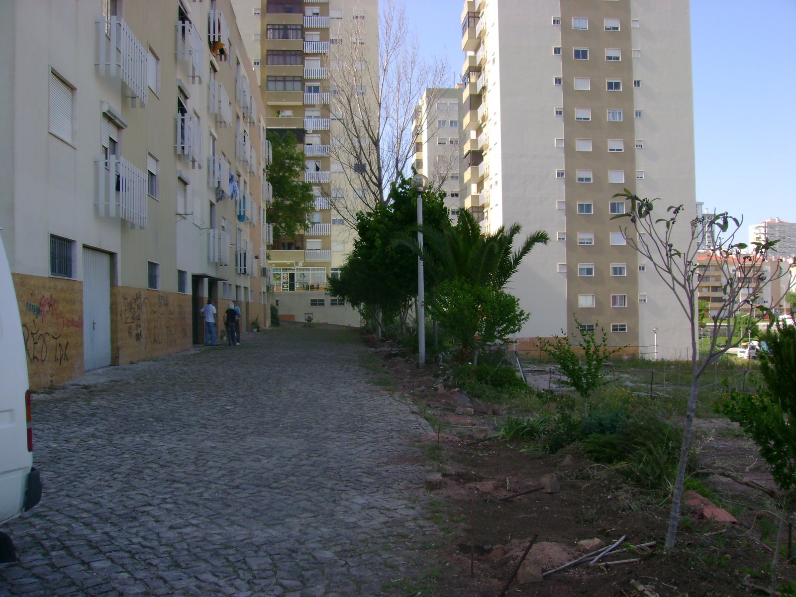[DSC00383.JPG]