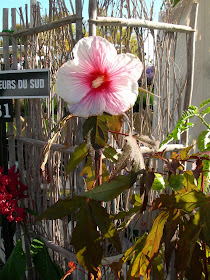 Paris Cote Jardin Mai 2009