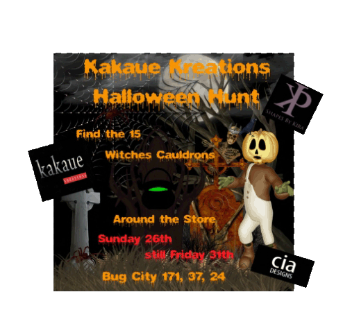 [ScreenShot031+copy.gif]