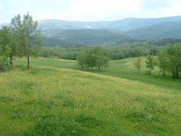 La Pradera de La Adrada