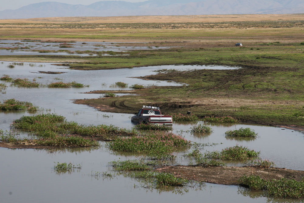 A Better Blacks Creek