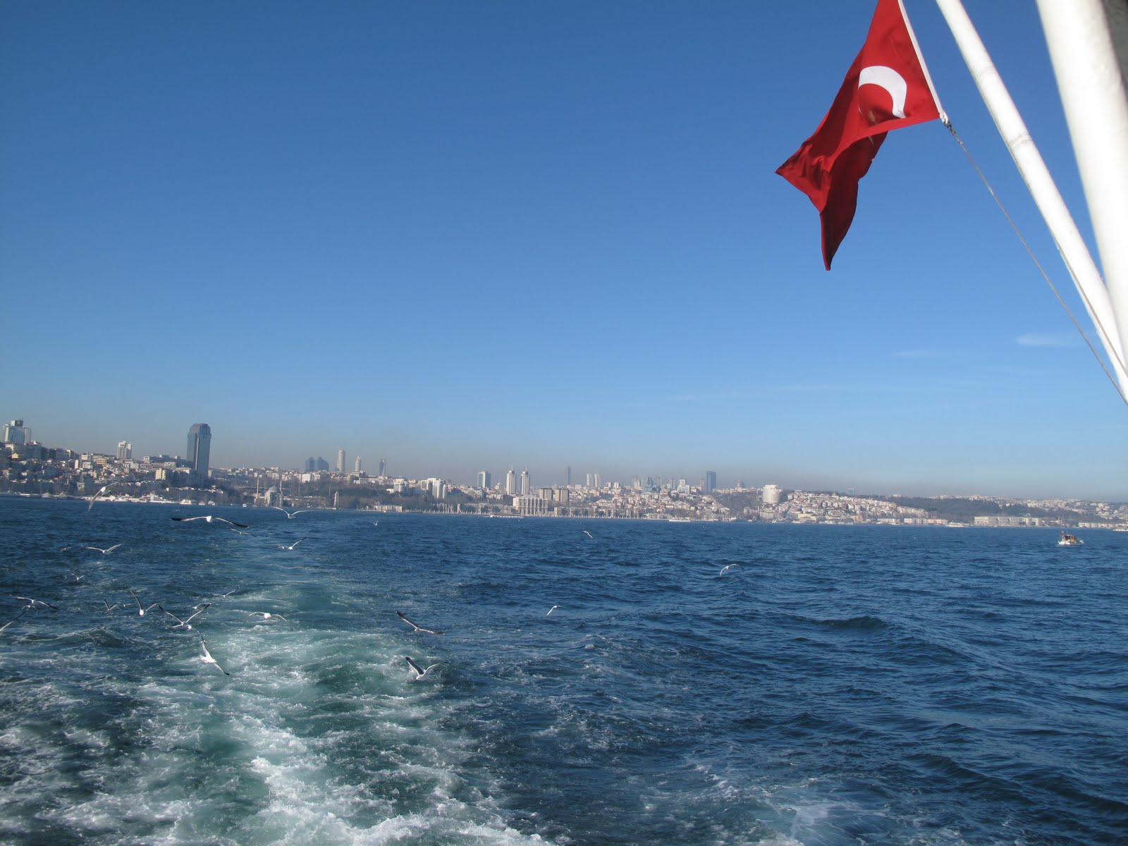 [IMG_5417.JPG]