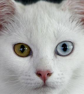 [726459-6385-it2.jpg]