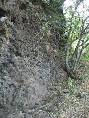 La Cueva de La Burrera IMG_0173+%28Large%29
