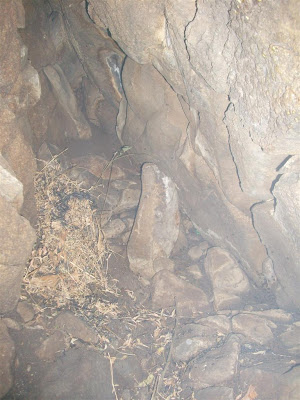 La Cueva camino a la Jara IMG_0417+%28Large%29