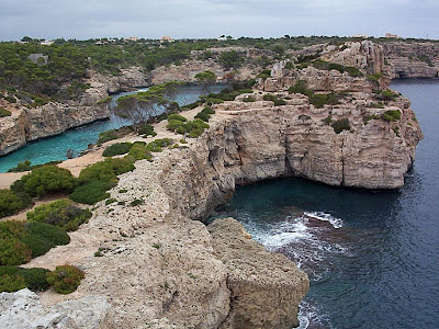 ecos del rocio me encontre una gorriona